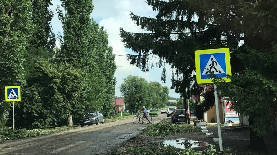 Поваленные деревья, разрушенные крыши, оборванные провода: от ночного урагана пострадали пять районов Саратовской области