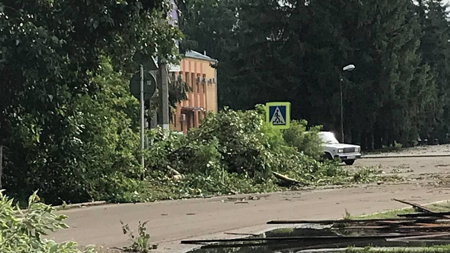 Поваленные деревья, разрушенные крыши, оборванные провода: от ночного урагана пострадали пять районов Саратовской области