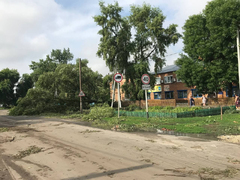 Поваленные деревья, разрушенные крыши, оборванные провода: от ночного урагана пострадали пять районов Саратовской области