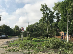 Поваленные деревья, разрушенные крыши, оборванные провода: от ночного урагана пострадали пять районов Саратовской области