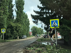 Поваленные деревья, разрушенные крыши, оборванные провода: от ночного урагана пострадали пять районов Саратовской области