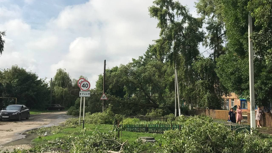 Сорваны крыши, выбиты окна, повалены деревья: последствия урагана в Саратовской области