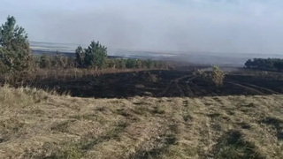 Под Вольском горел лес: площадь пожара выросла на два гектара, причиной называют человеческий фактор