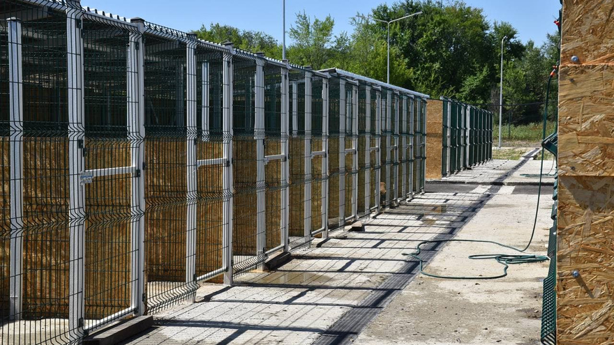Собакам нужно общение: волонтеры готовы принять животных в новом саратовском приюте