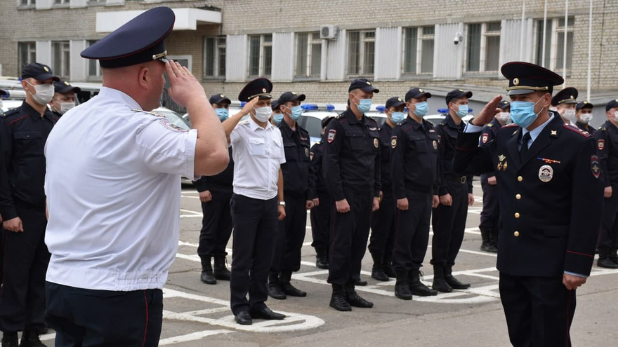 День рождения ППС: саратовские полицейские получили трех щенков бельгийской овчарки (их отправят в собачью школу)