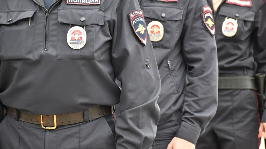 День рождения ППС: саратовские полицейские получили трех щенков бельгийской овчарки (их отправят в собачью школу)