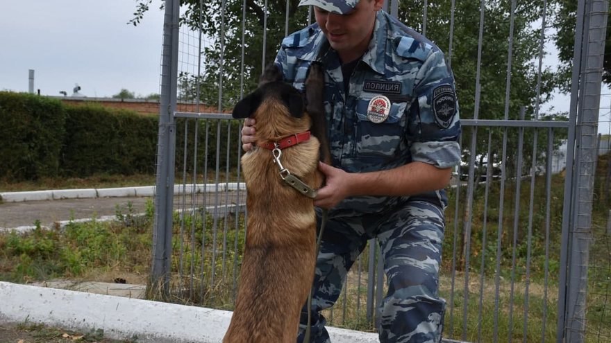 День рождения ППС: саратовские полицейские получили трех щенков бельгийской овчарки (их отправят в собачью школу)