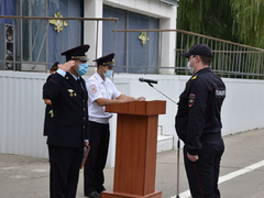 День рождения ППС: саратовские полицейские получили трех щенков бельгийской овчарки (их отправят в собачью школу)