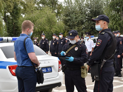 День рождения ППС: саратовские полицейские получили трех щенков бельгийской овчарки (их отправят в собачью школу)