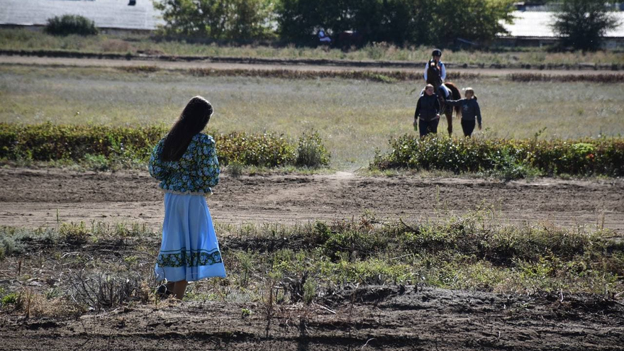 Буревестник, Уличный боец, Зверобой: перед саратовским губернатором устроили конные скачки