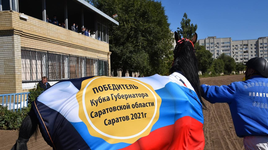 Буревестник, Уличный боец, Зверобой: перед саратовским губернатором устроили конные скачки