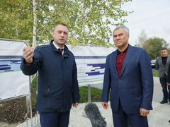 Вячеслав Володин рассказал, каких чиновников надо наказывать