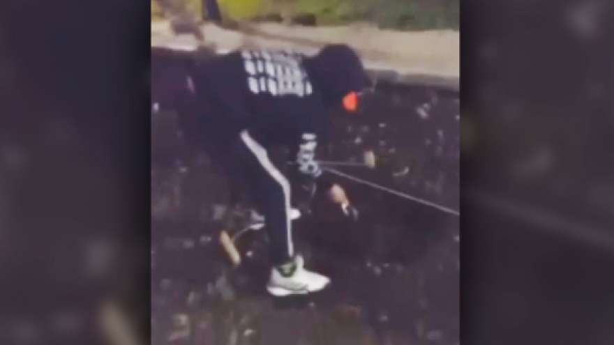 В Балашове на новой аллее вандалы вырвали и сломали саженцы (видео)