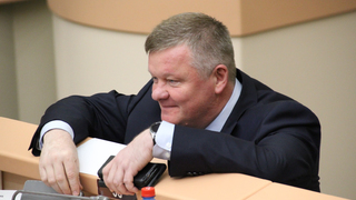 Ответственность за питомцев: мэр Саратова предложил штрафовать за бесконтрольное разведение животных