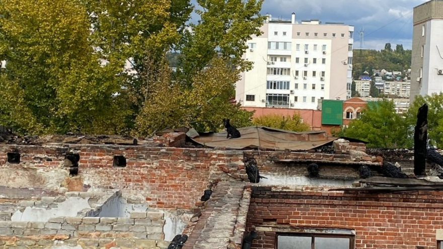 Город, пригодный для смерти: очевидцы сообщили о собаках, которые падают с крыши заброшенного дома