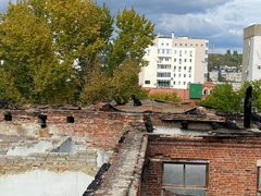 Город, пригодный для смерти: очевидцы сообщили о собаках, которые падают с крыши заброшенного дома