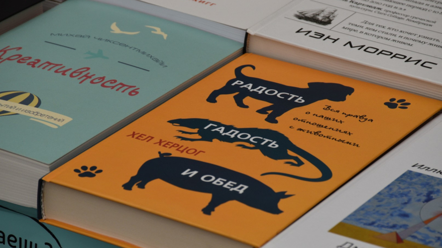 В Саратове открылась международная книжная ярмарка: ожидается приезд создателей комикса Майор Гром