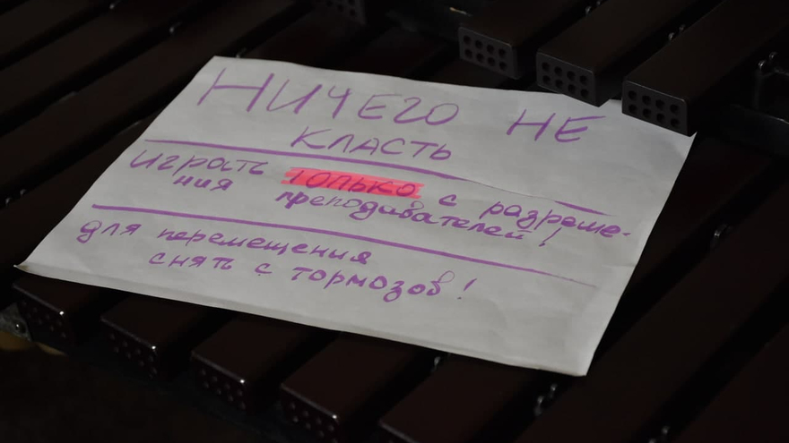 Учебный инструмент за 3 миллиона рублей: саратовская консерватория закупила 17 элитных японских роялей 