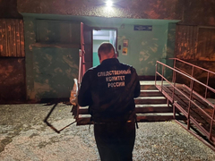 На ночном пожаре в Балакове погиб мужчина