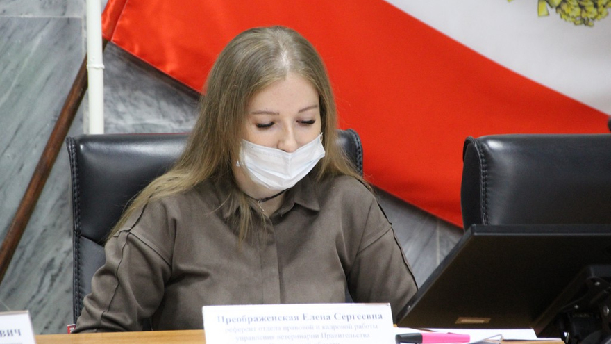 Бродячие собаки. Замглавы управления ветеринарии призвал не махать шашкой