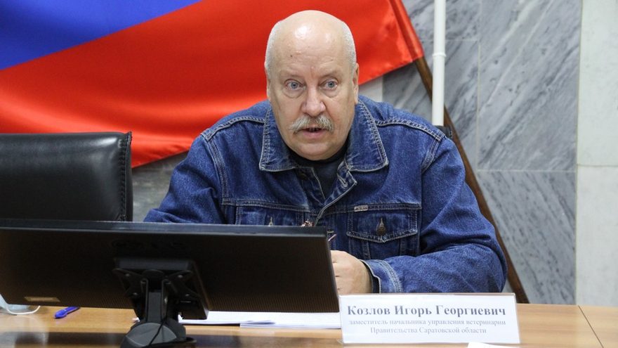 Бродячие собаки. Замглавы управления ветеринарии призвал не махать шашкой
