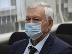 Бродячие собаки. Замглавы управления ветеринарии призвал не махать шашкой