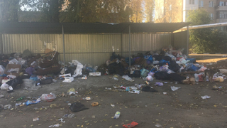 Жители Заводского района попросили избавить улицу Пензенскую от собачьей столовой