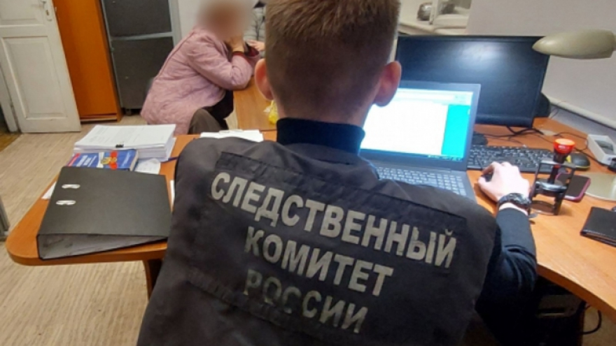 В Саратове пенсионерка обвинила зятя в тунеядстве и алкоголизме, а затем зарезала: дело в суде