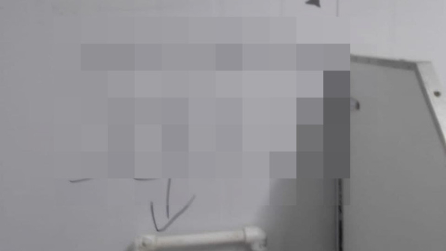 Справили нужду, разрисовали стены, сломали потолок: в Балашове вандалы изуродовали общественный туалет