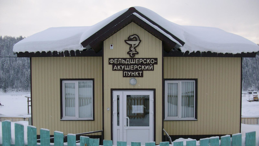 Жалоба Владимиру Путину: в Саратовской области появятся еще 5 фельдшерско-акушерских пунктов