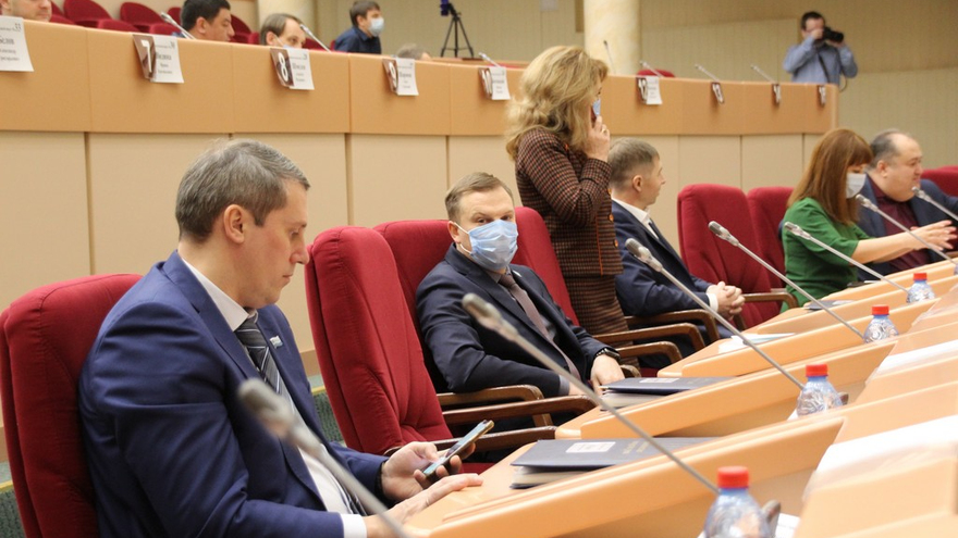 Депутаты Саратовской гордумы одобрили покупку мусорных контейнеров на 25 миллионов рублей