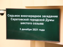 Депутаты Саратовской гордумы одобрили покупку мусорных контейнеров на 25 миллионов рублей