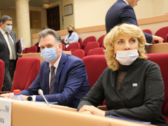 Депутаты Саратовской гордумы одобрили покупку мусорных контейнеров на 25 миллионов рублей