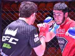 Агрессивный спорт для мужчин: в Саратове устроили турнир по MMA