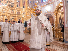 Это неправильно: саратовский митрополит Игнатий осудил прихожан, которые не стали причащаться