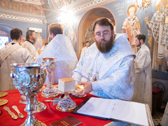 Это неправильно: саратовский митрополит Игнатий осудил прихожан, которые не стали причащаться