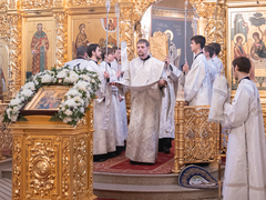 Это неправильно: саратовский митрополит Игнатий осудил прихожан, которые не стали причащаться