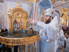 Это неправильно: саратовский митрополит Игнатий осудил прихожан, которые не стали причащаться