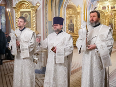 Это неправильно: саратовский митрополит Игнатий осудил прихожан, которые не стали причащаться