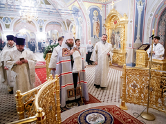 Это неправильно: саратовский митрополит Игнатий осудил прихожан, которые не стали причащаться