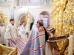 Это неправильно: саратовский митрополит Игнатий осудил прихожан, которые не стали причащаться