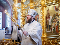Это неправильно: саратовский митрополит Игнатий осудил прихожан, которые не стали причащаться