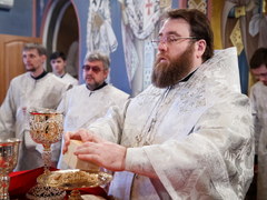Это неправильно: саратовский митрополит Игнатий осудил прихожан, которые не стали причащаться