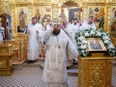 Это неправильно: саратовский митрополит Игнатий осудил прихожан, которые не стали причащаться