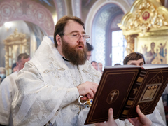 Это неправильно: саратовский митрополит Игнатий осудил прихожан, которые не стали причащаться