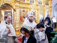 Это неправильно: саратовский митрополит Игнатий осудил прихожан, которые не стали причащаться