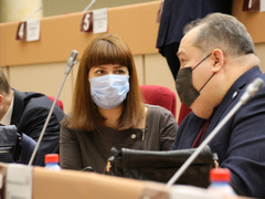 Для Саратова разработают прогрессивные правила прогона скота