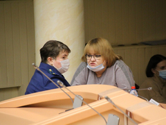Для Саратова разработают прогрессивные правила прогона скота