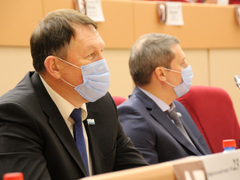 Для Саратова разработают прогрессивные правила прогона скота