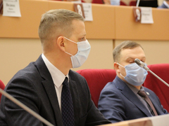 Для Саратова разработают прогрессивные правила прогона скота